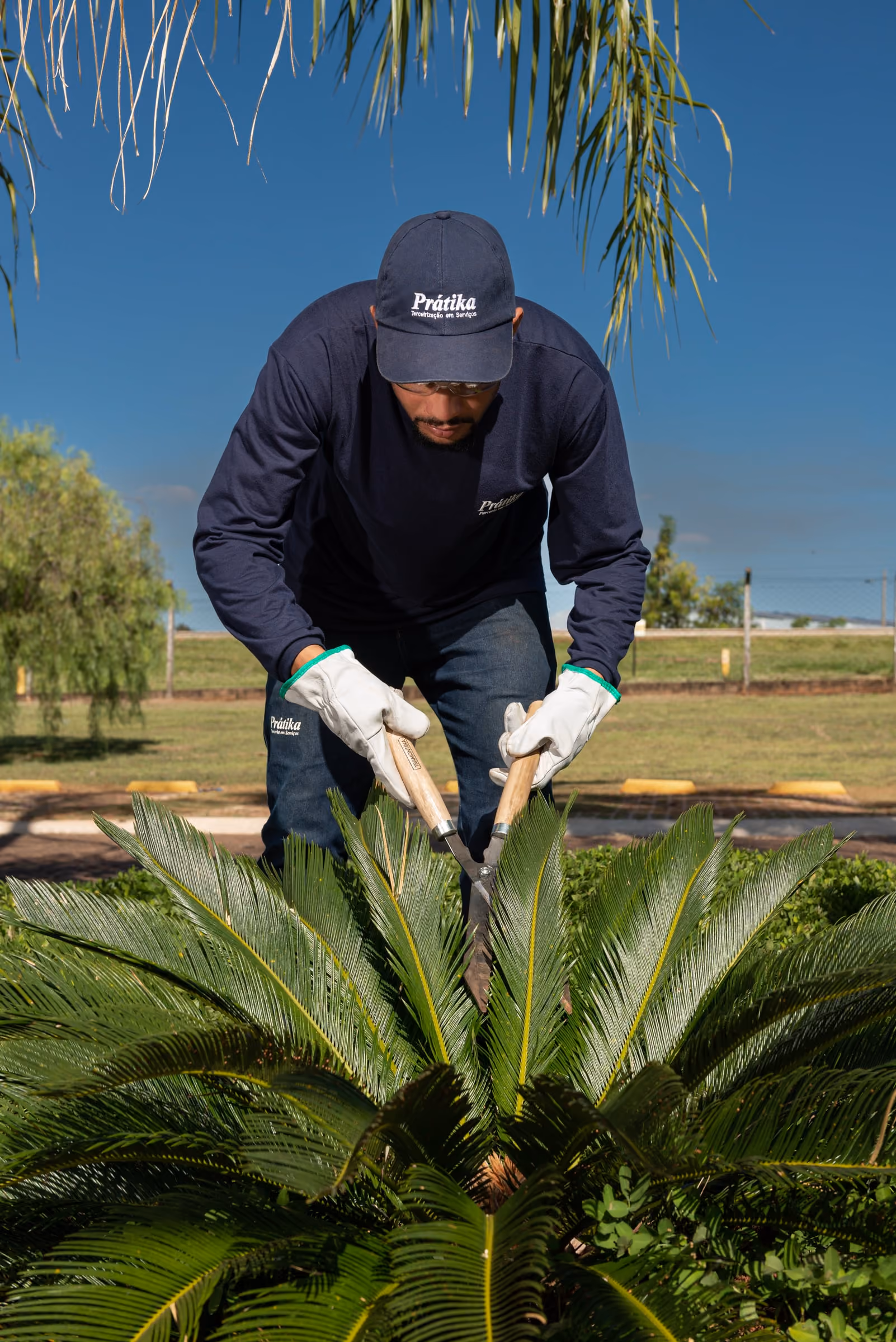 Jardineiro da Prátika apara uma planta com tesoura de poda